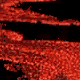 Feuer
